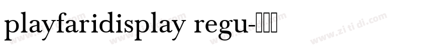 playfaridisplay regu字体转换